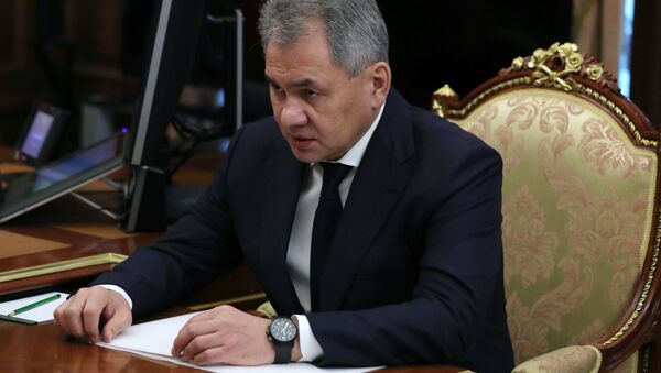 Министр обороны РФ, генерал армии Сергей Шойгу во время встречи с президентом РФ Владимирам Путиным в Кремле Министр обороны РФ, генерал армии Сергей Шойгу во время встречи с президентом РФ Владимирам Путиным в Кремле