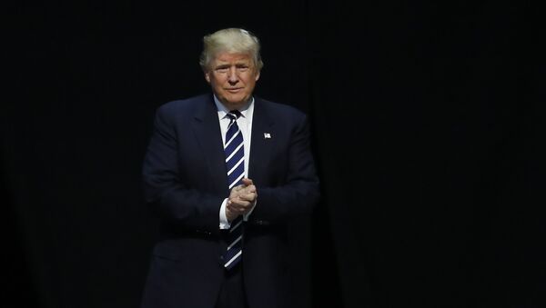 Избранный президент США Дональд Трамп. Архивное фото Избранный президент США Дональд Трамп. Архивное фото