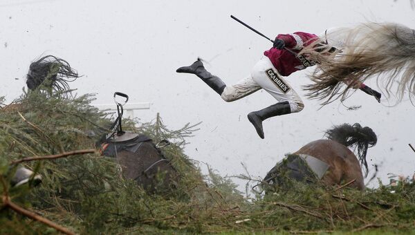 Grand National Steeplechase фотографа Tom Jenkins занявшего первое место в категории Спорт в фотоконкурсе World Press Photo Grand National Steeplechase фотографа Tom Jenkins занявшего первое место в категории Спорт в фотоконкурсе World Press Photo