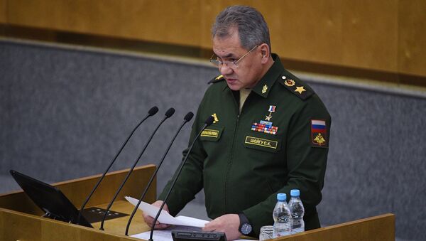 Министр обороны РФ Сергей Шойгу выступает на пленарном заседании Госдумы РФ. 22 февраля 2017 Министр обороны РФ Сергей Шойгу выступает на пленарном заседании Госдумы РФ. 22 февраля 2017