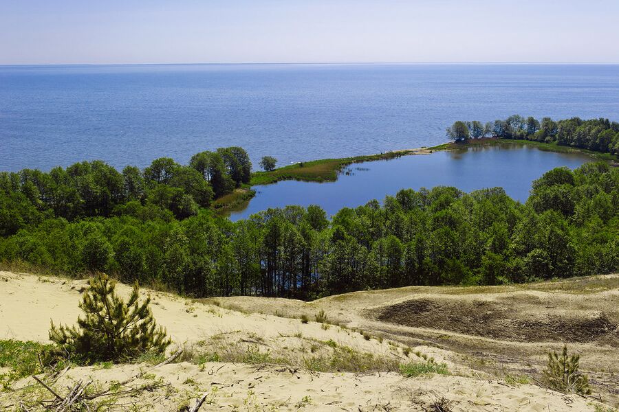 Национальный парк Куршская коса. Озеро Лебедь Национальный парк Куршская коса. Озеро Лебедь