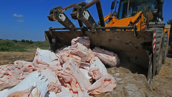 Уничтожение санкционных продуктов. Архивное фото Уничтожение санкционных продуктов. Архивное фото