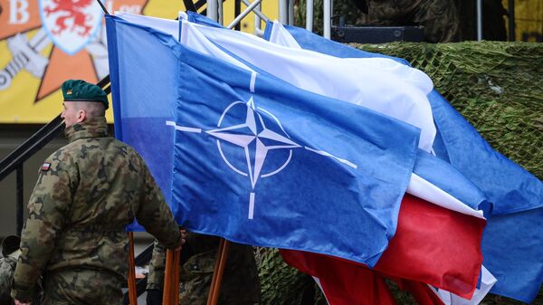 Церемония приветствия многонационального батальона НАТО под руководством США в польском Ожише Церемония приветствия многонационального батальона НАТО под руководством США в польском Ожише