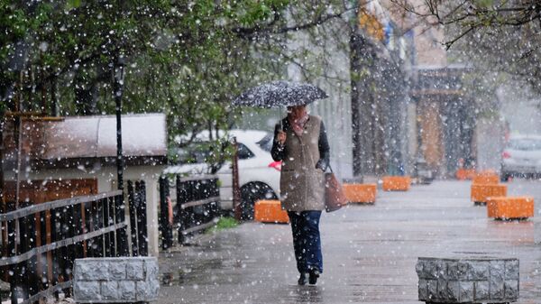 Москвичей предупредили о мокром снеге в понедельник