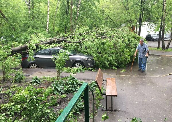 Сломанное ураганом дерево во дворе жилого дома в Москве Сломанное ураганом дерево во дворе жилого дома в Москве