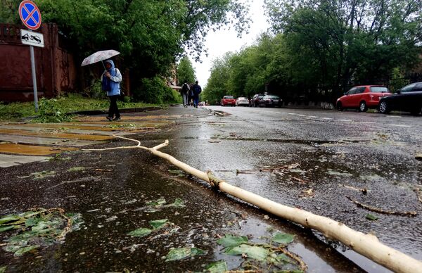 Сломанное ураганом дерево на улице города Москвы Сломанное ураганом дерево на улице города Москвы