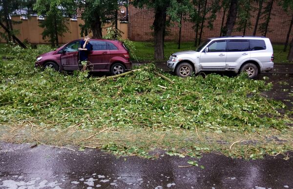 Автомобили, пострадавшие в результате урагана в Москве Автомобили, пострадавшие в результате урагана в Москве