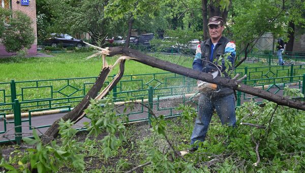Ликвидация последствий урагана в Москве. 29 мая 2017 Ликвидация последствий урагана в Москве. 29 мая 2017