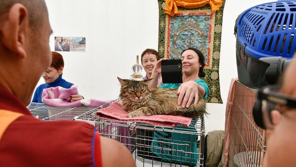 Будийский ритуал благословения домашних питомцев москвичей Будийский ритуал благословения домашних питомцев москвичей