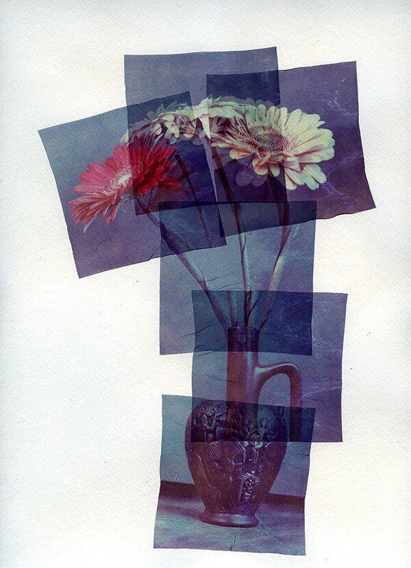 Техника Polaroid emulsion lift Техника Polaroid emulsion lift