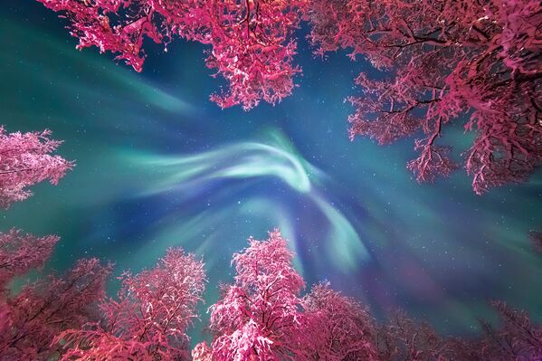Работа фотографа Yulia Zhulikova Auroral Crown, вошедшая в шорт-лист Insight Astronomy Photographer of the Year 2017 Работа фотографа Yulia Zhulikova Auroral Crown, вошедшая в шорт-лист Insight Astronomy Photographer of the Year 2017