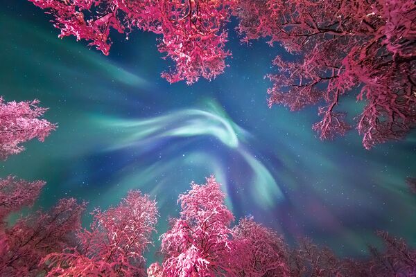 Работа фотографа Yulia Zhulikova Auroral Crown, вошедшая в шорт-лист Insight Astronomy Photographer of the Year 2017 Работа фотографа Yulia Zhulikova Auroral Crown, вошедшая в шорт-лист Insight Astronomy Photographer of the Year 2017
