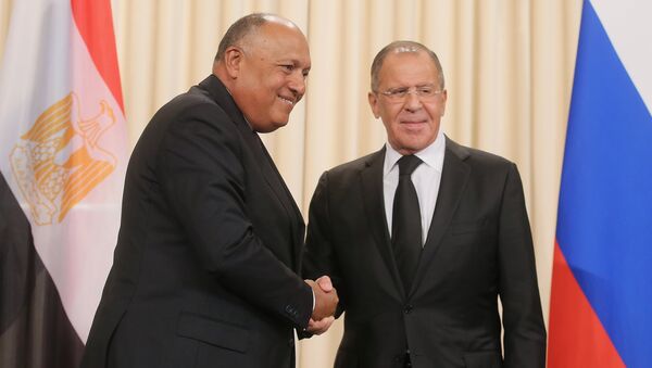 Министр иностранных дел РФ Сергей Лавров и министр иностранных дел Египта Самех Шукри. Архивное фото Министр иностранных дел РФ Сергей Лавров и министр иностранных дел Египта Самех Шукри. Архивное фото