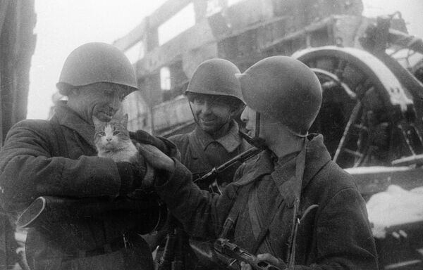 Мирные воспоминания. Сталинград, 1943 г Мирные воспоминания. Сталинград, 1943 г
