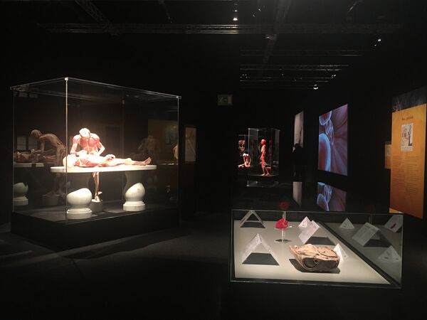 Открытие выставки Body Worlds в Женеве Открытие выставки Body Worlds в Женеве