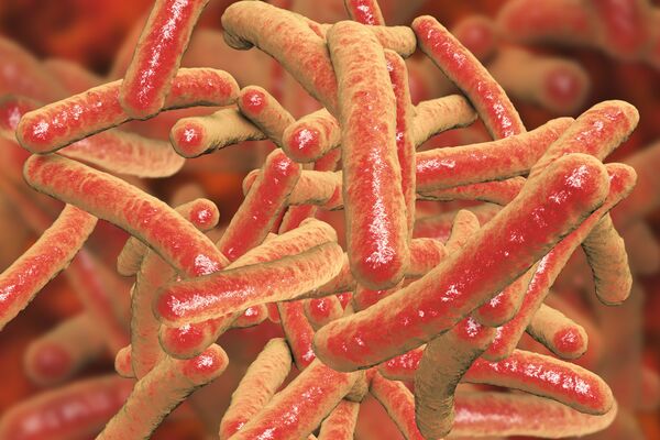 Бактерии Mycobacterium tuberculosis, возбудитель туберкулеза