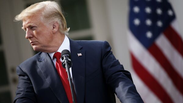 Президент США Дональд Трамп. Архивное фото Президент США Дональд Трамп. Архивное фото