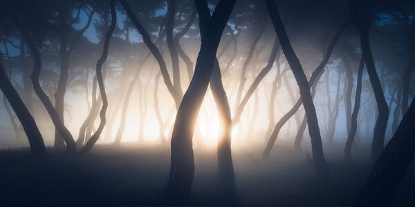 Работа участника фотоконкурса The EPSON International Pano Awards Работа участника фотоконкурса The EPSON International Pano Awards