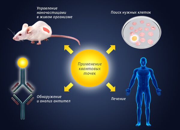 Применение квантовых точек Применение квантовых точек