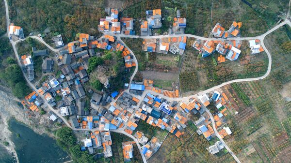 Снимок Аромат осенней хурмы (金秋月柿飘香时) фотографа Тянь Я (天涯), занявший второе место в категории История.Профессионалы Снимок Аромат осенней хурмы (金秋月柿飘香时) фотографа Тянь Я (天涯), занявший второе место в категории История.Профессионалы