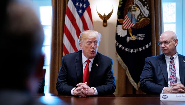 Президент США Дональд Трамп высказывается о тарифах на сталь и алюминий во время встречи в Белом доме. 1 марта 2018 Президент США Дональд Трамп высказывается о тарифах на сталь и алюминий во время встречи в Белом доме. 1 марта 2018