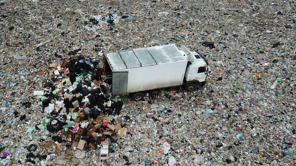 Минэкологии Подмосковья не нашло нарушений на мусорных полигонах