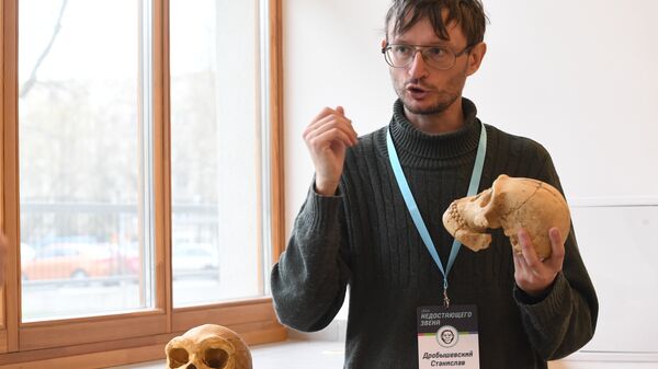 Антрополог Станислав Дробышевский демонстрирует слепок черепа Homo naledi в сопоставлении с черепом человека Антрополог Станислав Дробышевский демонстрирует слепок черепа Homo naledi в сопоставлении с черепом человека