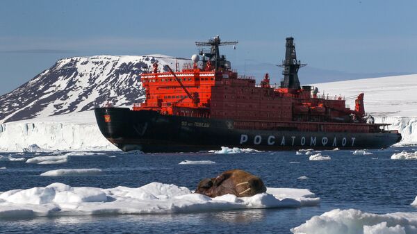 Морж на льдине у берегов одного из островов архипелага Земля Франца-Иосифа. Морж на льдине у берегов одного из островов архипелага Земля Франца-Иосифа.