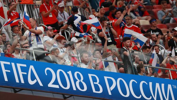 Болельщики в Лужниках перед матчем Россия-Испания Болельщики в Лужниках перед матчем Россия-Испания
