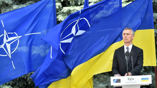 Генеральный секретарь НАТО Йенс Столтенберг выступает на пресс-конференции с президентом Украины в Киеве Генеральный секретарь НАТО Йенс Столтенберг выступает на пресс-конференции с президентом Украины в Киеве