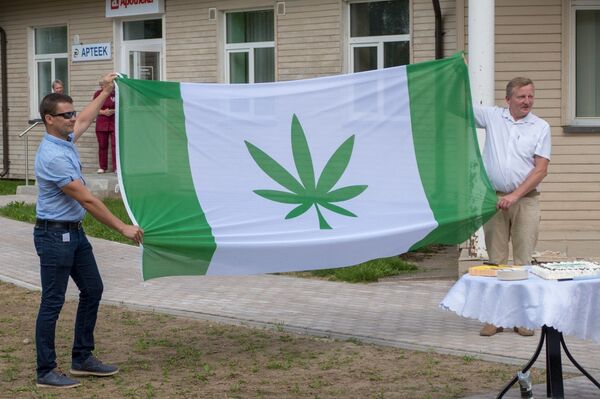 Флаг с изображением конопли у здания волостного управления Канепи, Эстония. 13 июля 2018 Флаг с изображением конопли у здания волостного управления Канепи, Эстония. 13 июля 2018