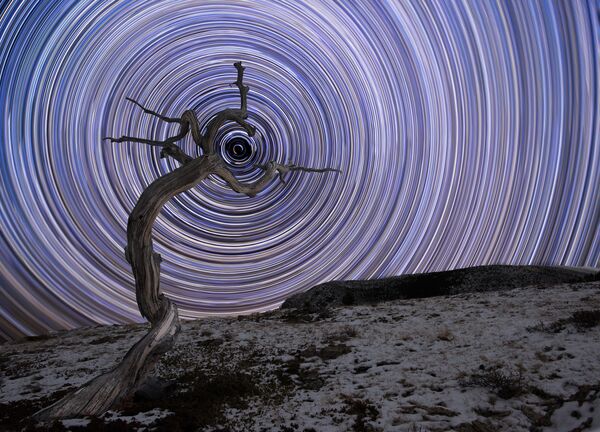 Работа фотографа Jake Mosher Holding Due North, вошедшая в шорт-лист Insight Astronomy Photographer of the Year 2018 Работа фотографа Jake Mosher Holding Due North, вошедшая в шорт-лист Insight Astronomy Photographer of the Year 2018