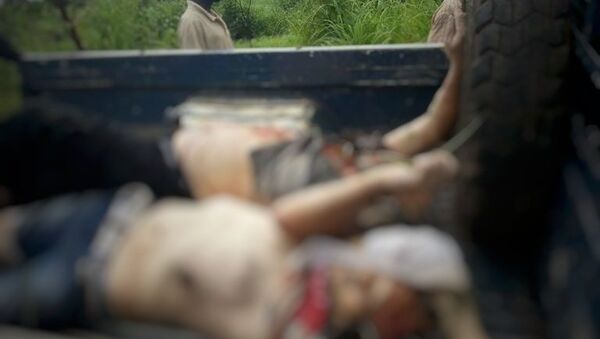 Погибшие в ЦАР российские журналисты со следами пыток Погибшие в ЦАР российские журналисты со следами пыток