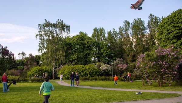 Цветение сирени в Москве Цветение сирени в Москве