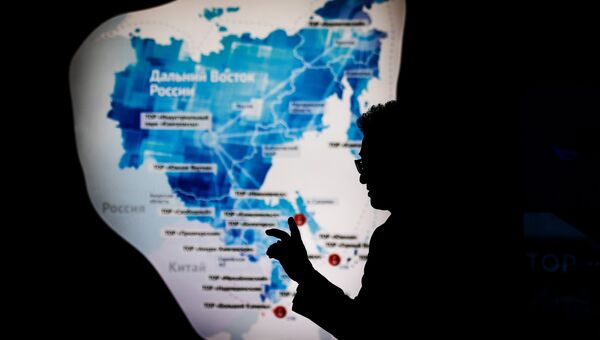Посетитель на площадке Восточного экономического форума во Владивостоке Посетитель на площадке Восточного экономического форума во Владивостоке