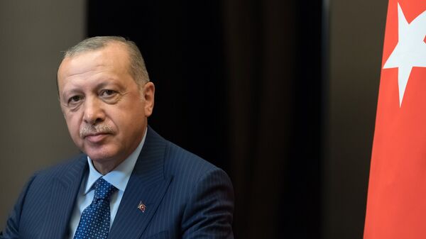В Абхазии раскритиковали слова Эрдогана о "территориальной целостности" Грузии