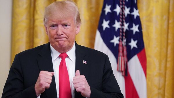 Президент США Дональд Трамп в Белом доме в Вашингтоне Президент США Дональд Трамп в Белом доме в Вашингтоне