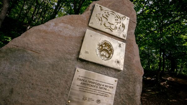 На острове Русский создадут Парк природы и Музей амурского тигра На острове Русский создадут Парк природы и Музей амурского тигра