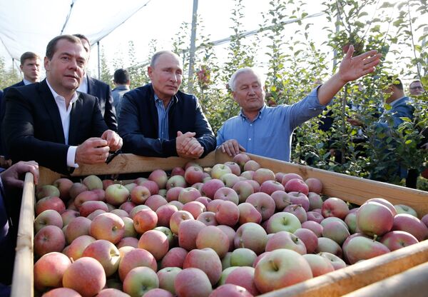 Рабочая поездка президента РФ В. Путина и премьер-министра РФ Д. Медведева в Ставропольский край Рабочая поездка президента РФ В. Путина и премьер-министра РФ Д. Медведева в Ставропольский край