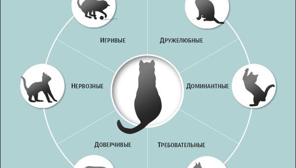 Среди шести типов личности домашних кошек две оказались довольно неожиданными: доверчивые и требовательны Среди шести типов личности домашних кошек две оказались довольно неожиданными: доверчивые и требовательны