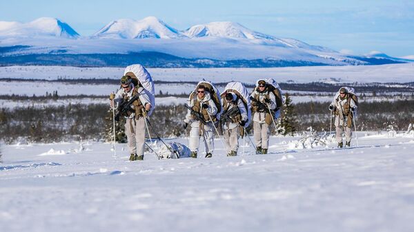 Норвежские военные Норвежские военные