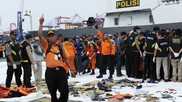 Предметы с места крушения пассажирского самолета Boeing 737 авиакомпании Lion Air у западного побережья острова Ява Предметы с места крушения пассажирского самолета Boeing 737 авиакомпании Lion Air у западного побережья острова Ява