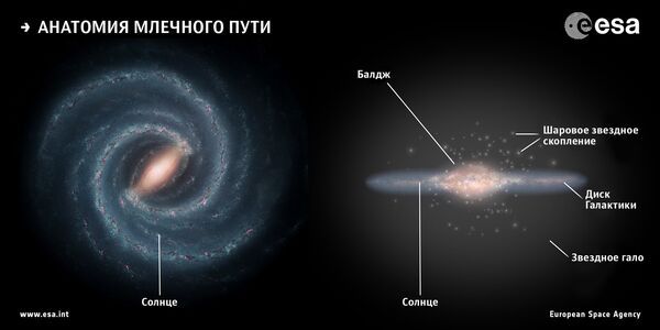 Анатомия Млечного Пути Анатомия Млечного Пути