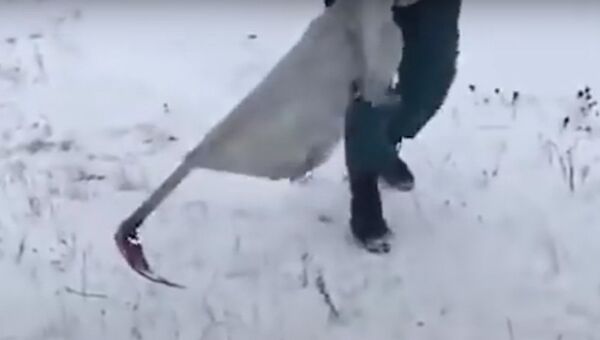 Снимок экрана с изображением, где сотрудник МЧС из Екатеринбурга косит траву Снимок экрана с изображением, где сотрудник МЧС из Екатеринбурга косит траву
