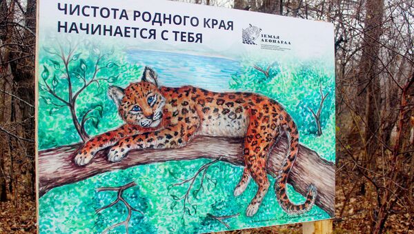 На Земле леопарда пройдет субботник На Земле леопарда пройдет субботник
