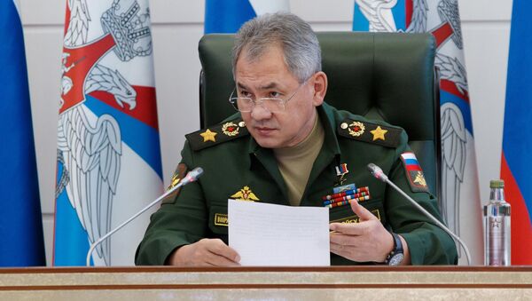 Министр обороны РФ Сергей Шойгу. Архивное фото Министр обороны РФ Сергей Шойгу. Архивное фото