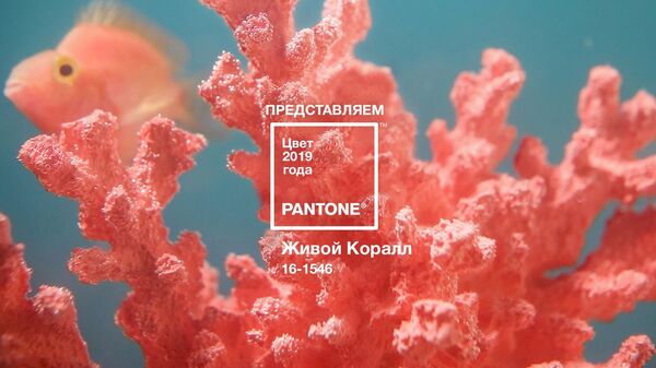 Живой коралл цвета оттенка оттенка Pantone 16-1546 Живой коралл цвета оттенка оттенка Pantone 16-1546