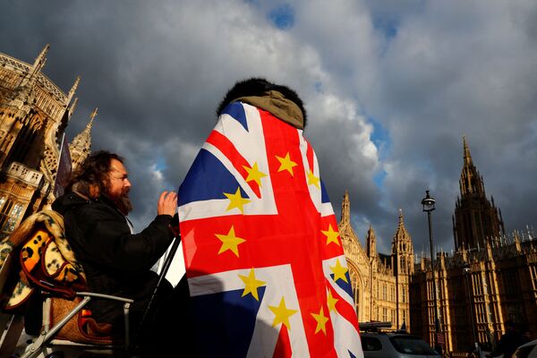 Противники Brexit у Вестминстерского дворца в Лондоне. 12 декабря 2018 Противники Brexit у Вестминстерского дворца в Лондоне. 12 декабря 2018