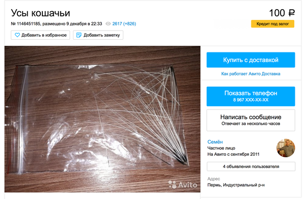 Объявление о продаже кошачьих усов на сайте Avito Объявление о продаже кошачьих усов на сайте Avito