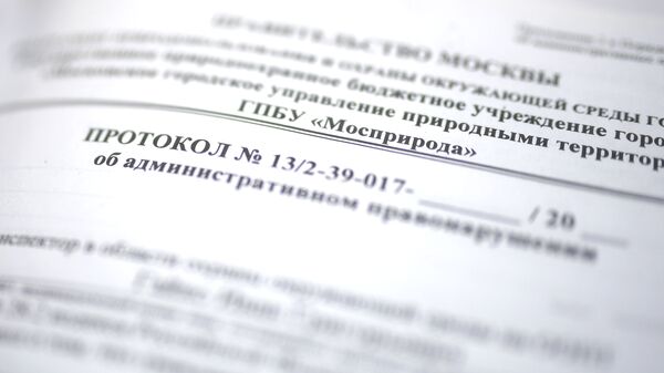 Рейд по незаконной вырубке елок в парке Кузьминки Рейд по незаконной вырубке елок в парке Кузьминки